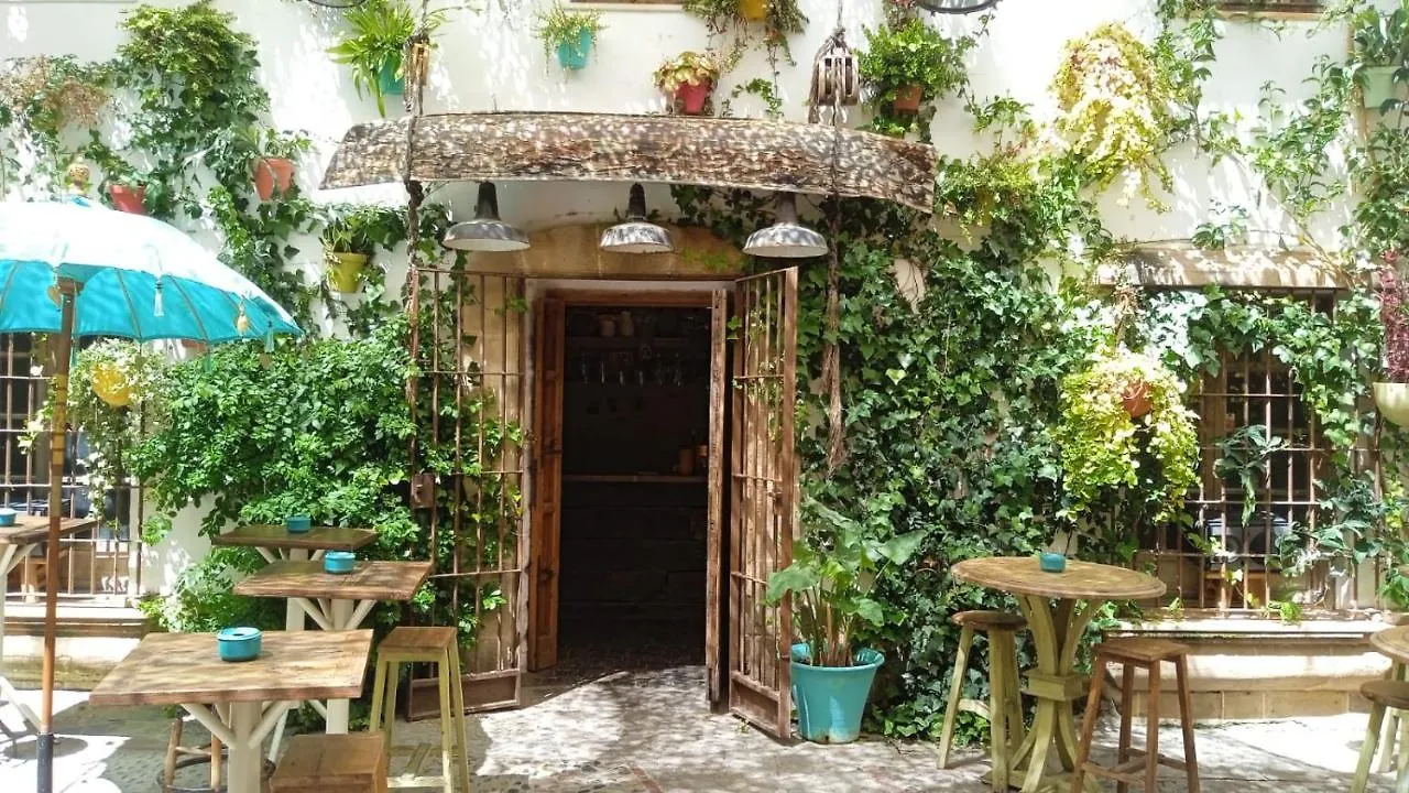 Sherryflat Castilla Internet 500 Megas Apartment Jerez de la Frontera 0*,  Spain